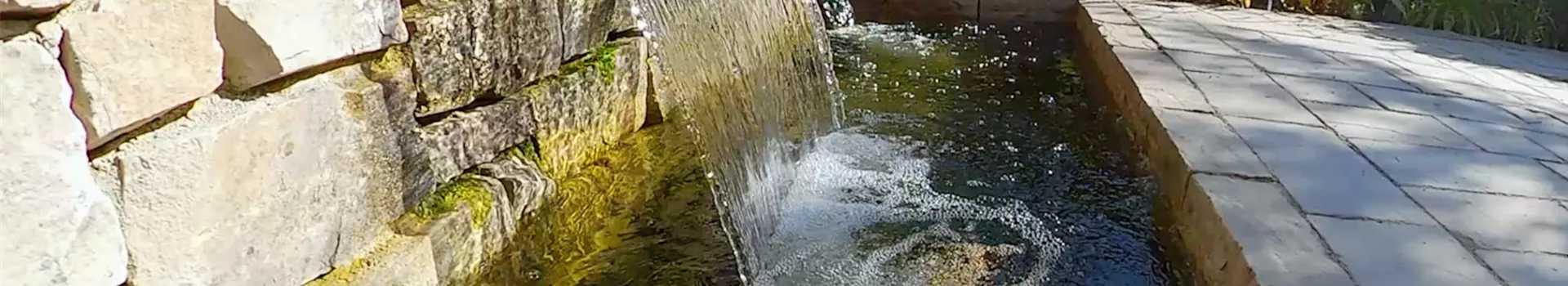 Gartengestaltung - Skulpturengarten (thumbnail)