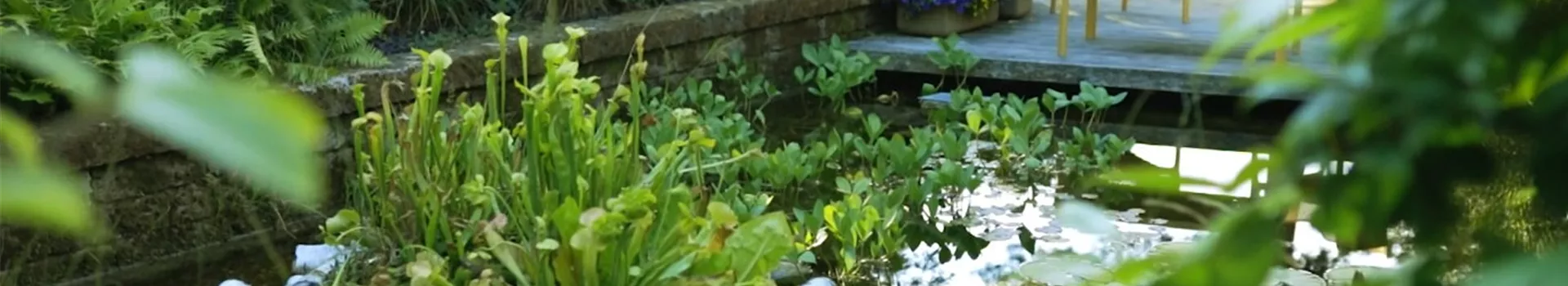 Gartengestaltung- Waldgarten (Thumbnail)