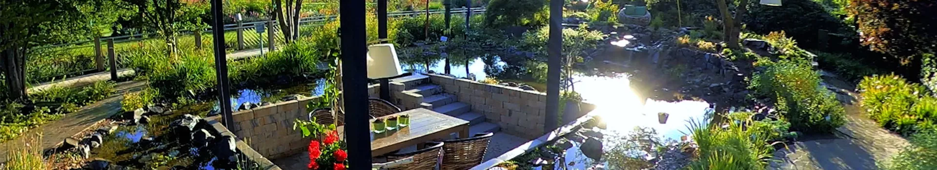 Gartengestaltung - Wassergarten (Thumbnail)