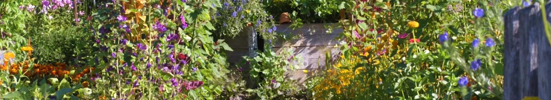 Gartengestaltung - Bauerngarten (Thumbnail)